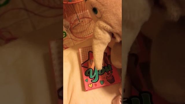 My old book from last year смотреть онлайн