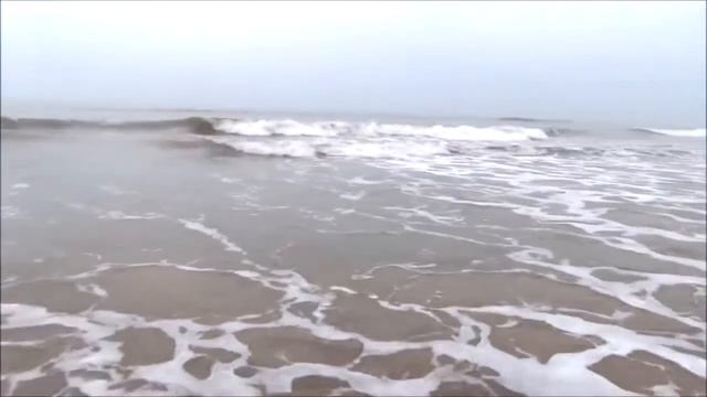 Медитация со Шри Матаджи. Океан