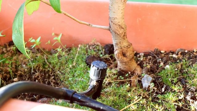 Automatic Watering System - Watering Bonsai part 2 смотреть онлайн