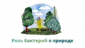 38. Роль бактерий в природе