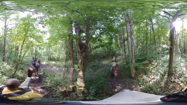 vr 360 конная прогулка смотреть онлайн