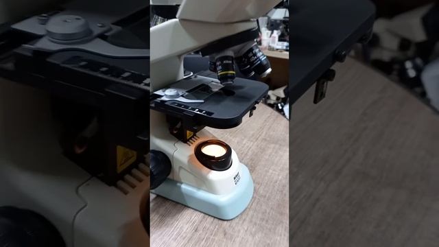 Nikon Eclipse E100 MICROSCOPE 니콘 이클립스 E100 현미경 смотреть онлайн