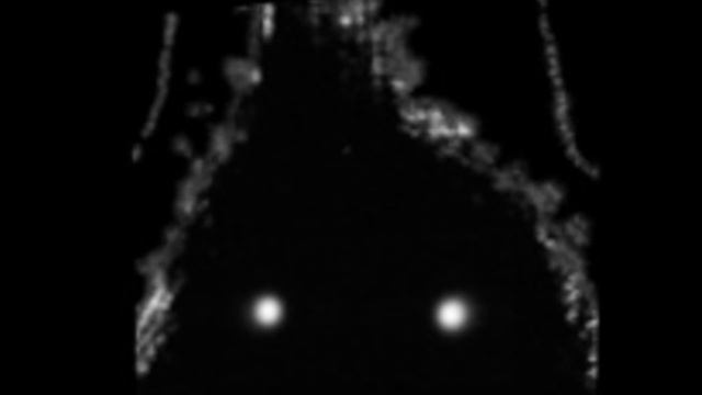 Hinn Nextbot Chase Music (HÌÐÈ Nextbot) (Gmod) (check Desc.)