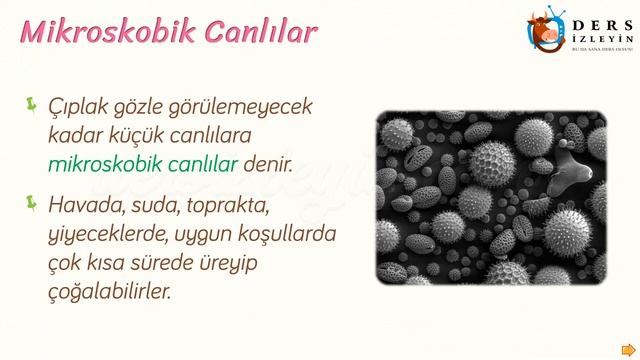 ÇEVREMİZ VE MİKROSKOBİK CANLILAR смотреть онлайн