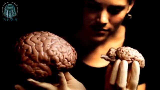 ВИДЕОИГРЫ УЛУЧШАЮТ ПАМЯТЬ смотреть онлайн