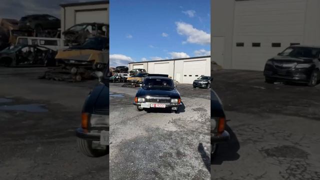 Протухшее молоко для нищих иммигрантов #сша #russianamerica #иммиграция смотреть онлайн