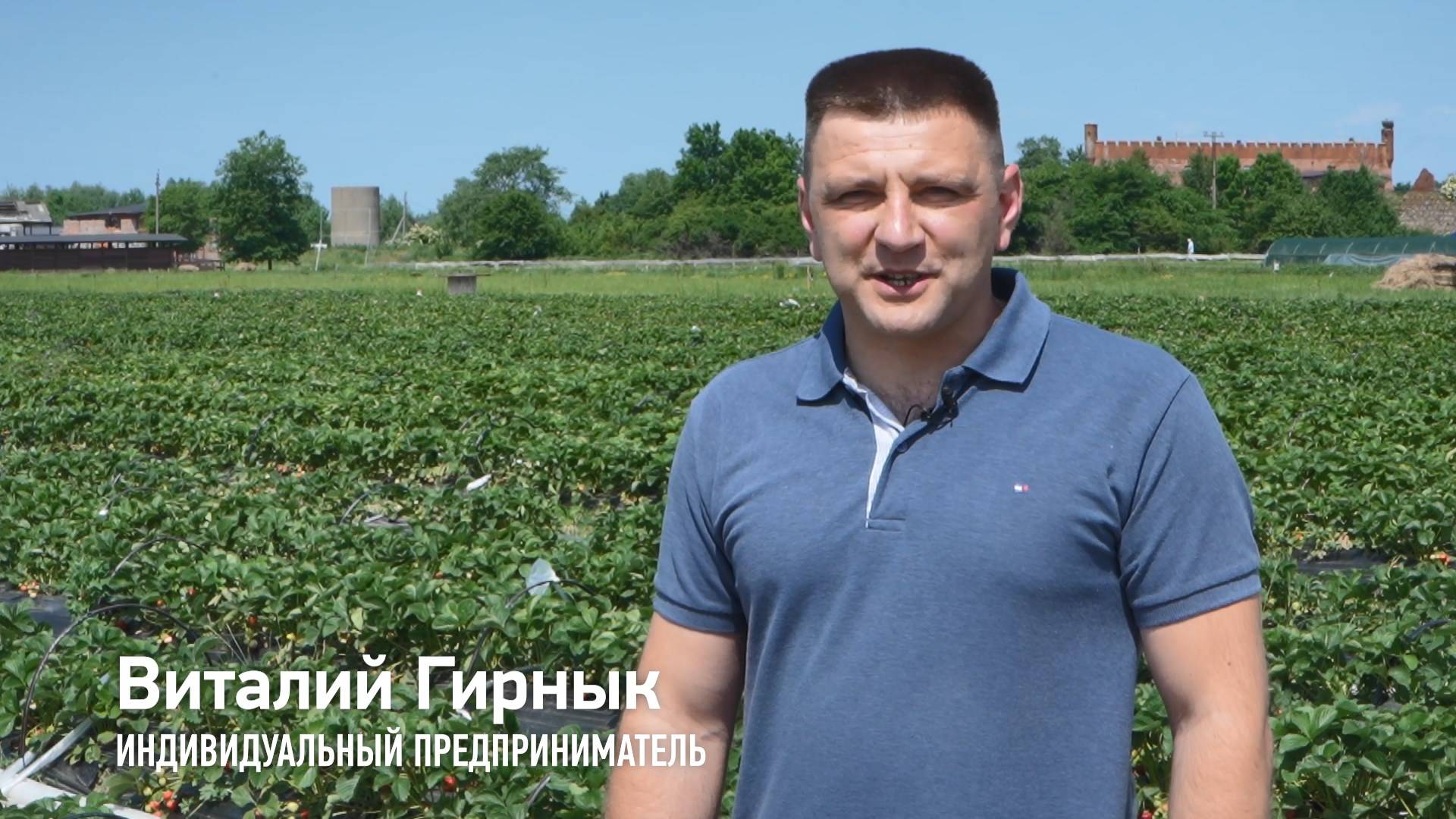 ИП Гирнык Виталий Владимирович смотреть онлайн