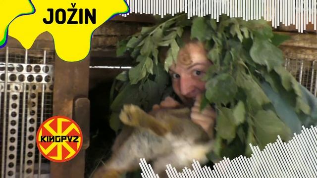 Kingpvz - Jožin feat. Ivan Mládek смотреть онлайн