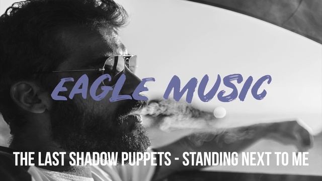 ПОЛУЧИ КАЙФ!🎧The Last Shadow Puppets - Standing Next to Me🎼 смотреть онлайн