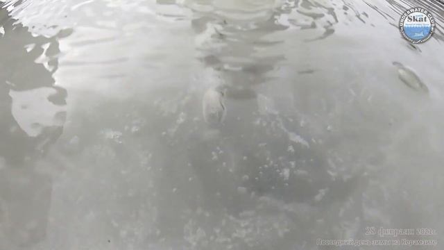 2021_02_28 - Последний день зимы на Керамзите смотреть онлайн