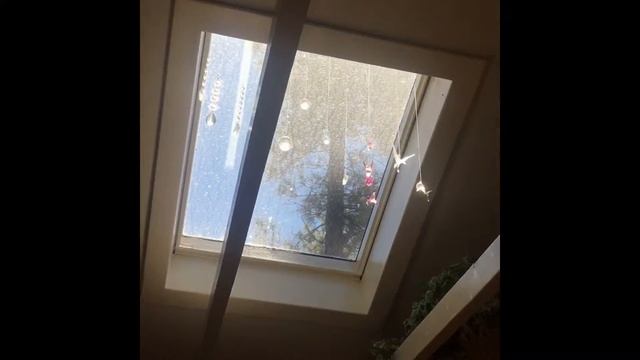 Big Bear 2019 Spring Break смотреть онлайн