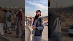 ТУЛПАР АНДИЙСКИЙ. НАПОМИНИЕ НА КЛАДБИЩЕ *БАКЪИИ* В МЕДИНЕ