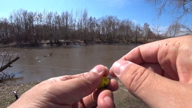 Отличный способ ловли уклейки на поплапоппер! смотреть онлайн