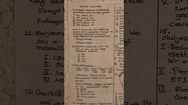 Oksijenli ,oksijensiz solunum, fermantasyon ve glikoliz ile ilgili soru ve cevapları 2 смотреть онлайн