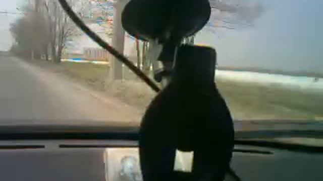 Sho-me 520 в Кургане на Крис-П.3gp смотреть онлайн