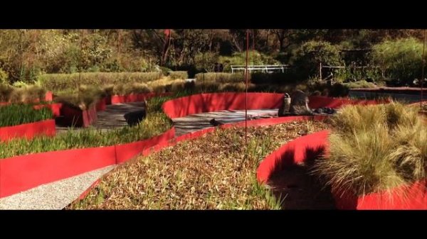 A true URBAN OASIS in Mexico City. Botanical garden. Chapultepec