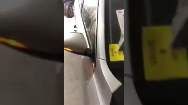 Оптика Passat NMS 2016