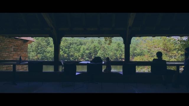 Sirui Anamorphic Lens | Cinematic Smartphone Video