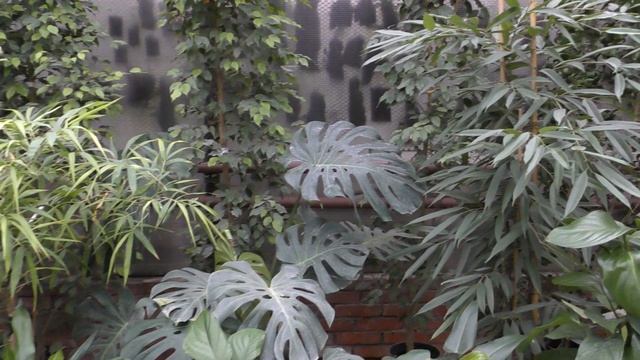 Приходите к нам.Мы вас ждём!!!