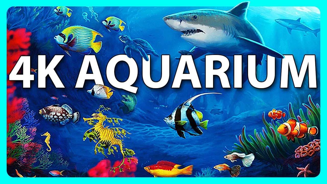 The Best 4K Aquarium for Relaxation Relaxing Oceanscapes Sleep Meditation 4K UHD Screensaver смотреть онлайн