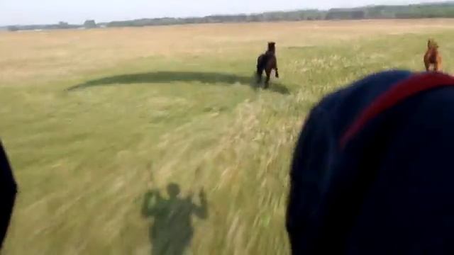 Полет на параплане Кемерово Paragliding