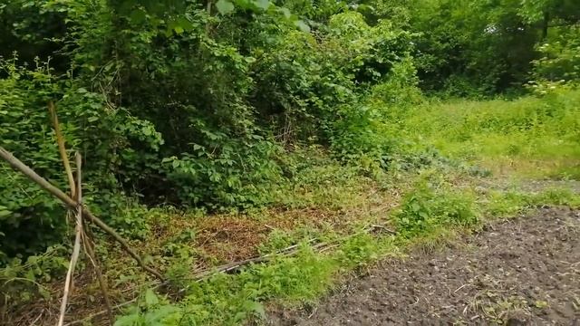 Эстосадок, Красная Поляна смотреть онлайн