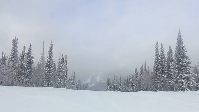 Шерегеш. Сектор Е. Полный спуск. смотреть онлайн