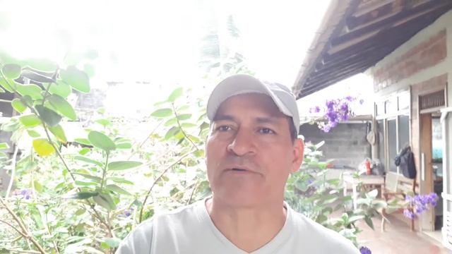 Video Cambridge Ingles