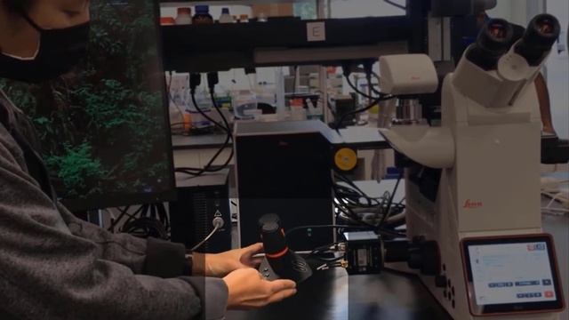 Leica Microsystems DMi8 Microscope Overview смотреть онлайн
