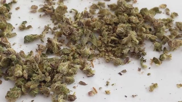 Pearl Pharma Pre Roll Gut смотреть онлайн