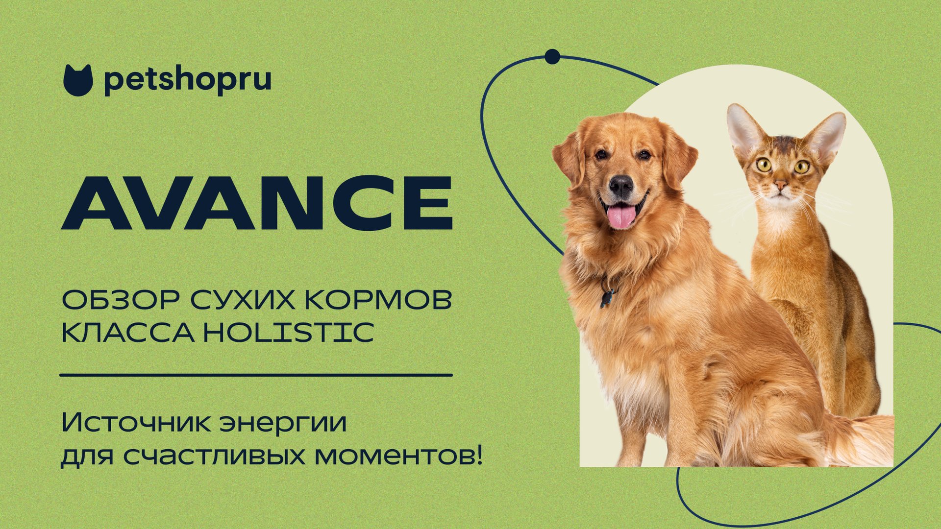 AVANCE – обзор сухих кормов класса холистик для собак и кошек смотреть онлайн