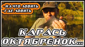 Рыбалка на карася осенью, на что ловить, как ловить рыбу поздней осенью.