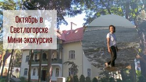 Октябрь в Светлогорске. Рынок, миниэкскурсия по городу.