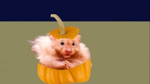 Угадай пародию на Мышку Сосиску - часть 8