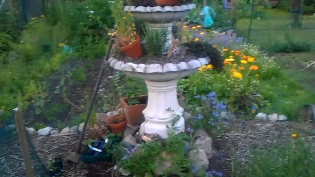 Experiment Mischkultur: Unser wilder (Nutz-)garten смотреть онлайн