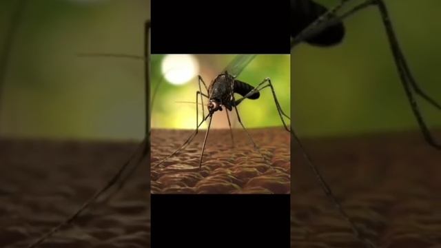 Светящаяся наука