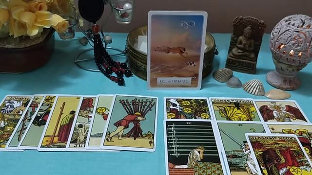 LiBRA Oct 2019 Harvest time! It's not a Sprint, it's a Marathon. смотреть онлайн