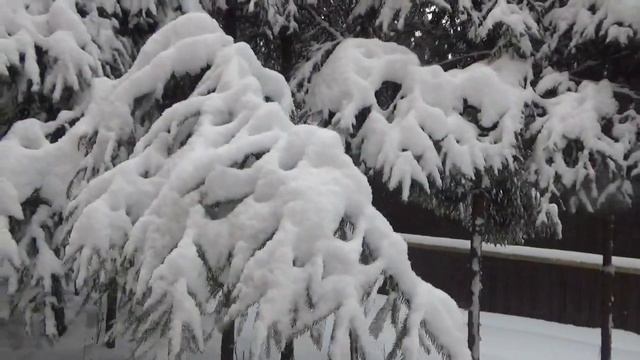 Внутреннее состояние безусловной любви - главный източник жизни. смотреть онлайн