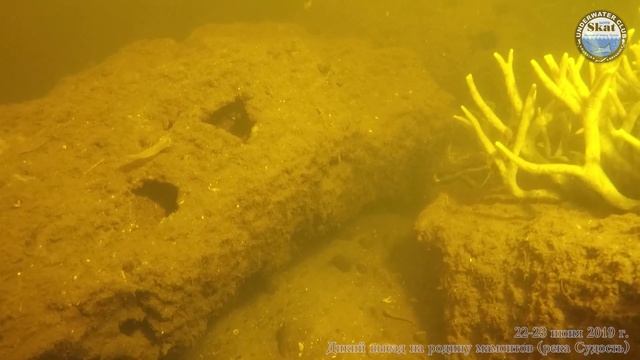 2019_06_22-23 - Дикий выезд на родину мамонтов река Судость смотреть онлайн