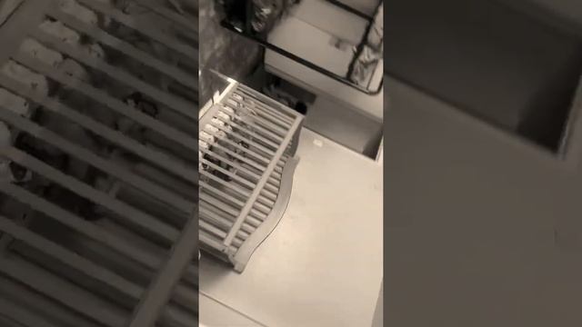 We SCARED our cousins!! 🤯🤯 смотреть онлайн