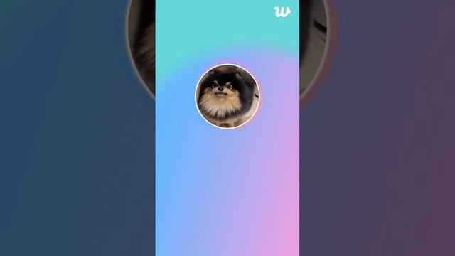 Taehyung Weverse Live Hii 23. 10. 16