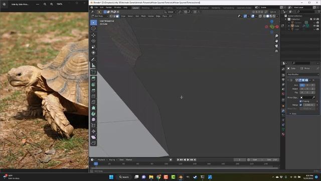 Last Animal To Model Freehand: African Spurred Tortoise Modeling In Blender 3.0.1 Timelapse смотреть онлайн
