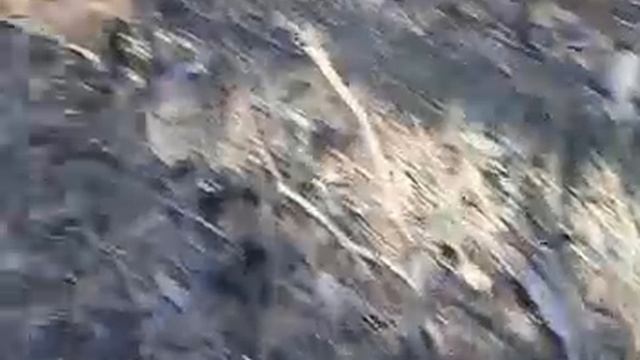 грибы смотреть онлайн