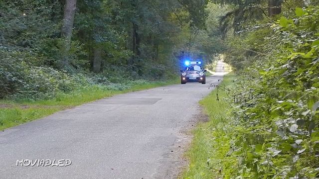 Hänsch DBS 3000 LED mit Typ 620 Stadt Land Kompressor смотреть онлайн