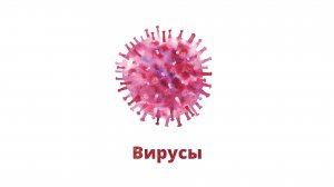 40. Вирусы