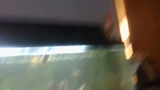 Fish tank Thursdays смотреть онлайн