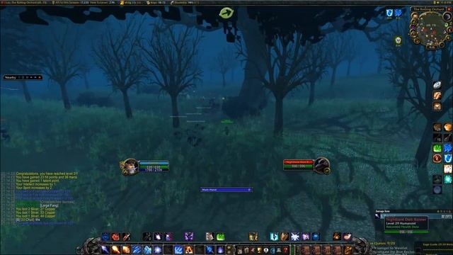 Best AoE Leveling Route for Low Level Mages смотреть онлайн
