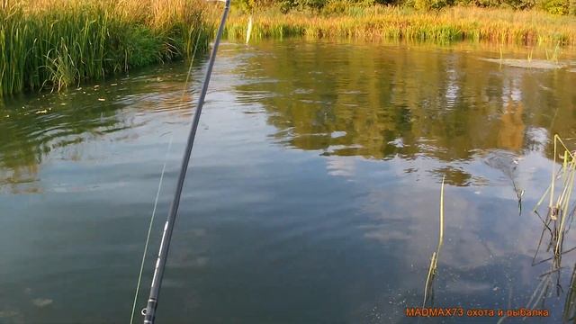 Рыбалка на щуку Свияга Дачный