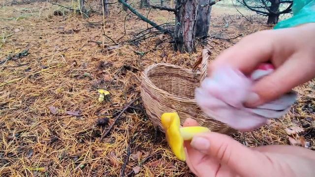 Галя плачет ! Света где ты? смотреть онлайн