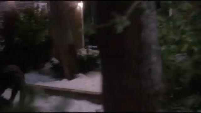 Учим английский с Кевином. Кевин обрезал веревку. Воры снова упали. Ссылки в описании. смотреть онлайн